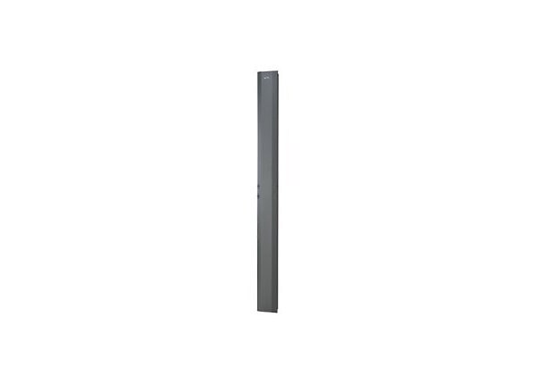 Panduit 82.8"H x 10.1"W x 1.6"D Dual Hinged Metal Door Black 
