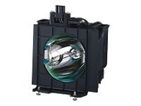 Panasonic Replacement Lamps
