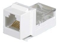 Panduit NetKey modular insert