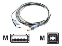 Panini 10' 2.0 USB-A to USB-B Cable