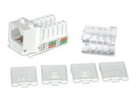 C2G Cat6 RJ45 UTP Keystone Jack - White - modular insert