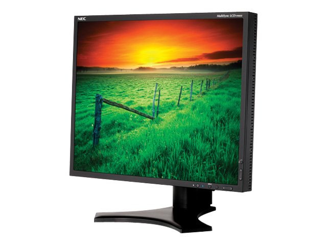 NEC MultiSync LCD1990SX LCD Monitor