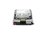 HP hard drive - 300 GB - 2Gb Fibre Channel