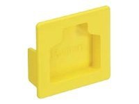 Panduit FiberRunner 2x2 System Fittings - cable raceway end cap