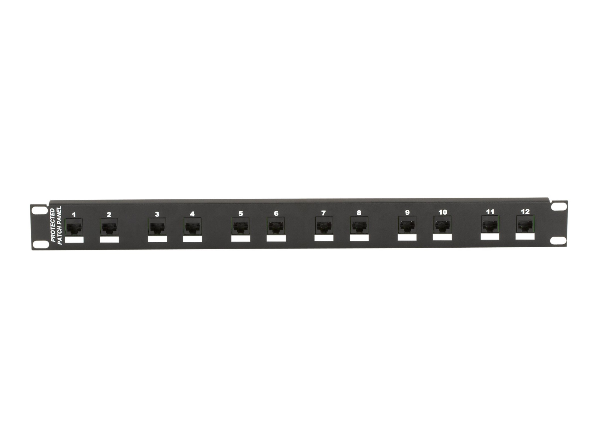 Black Box CAT6 Protector Panel 12-Port 1U