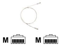 Panduit TX6 PLUS patch cable - 5 ft - off white