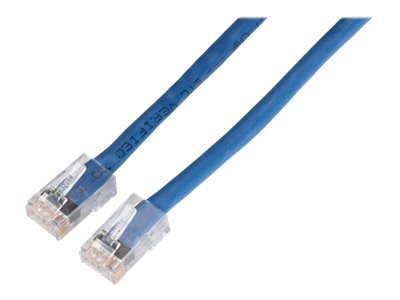 Black Box CAT6 Solid-Conductor Backbone Cable network cable - 2 ft - blue