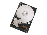 Hitachi Deskstar P7K500 HDP725032GLAT80 - hard drive - 320 GB - ATA-133