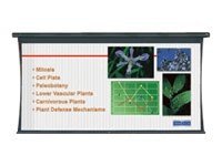 Da-Lite Large Tensioned Cosmopolitan Electrol projection screen - 220" (220.1 in)