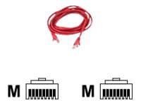 Belkin High Performance patch cable - 8 ft - red