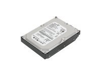 Lenovo - hard drive - 500 GB - SATA 3Gb/s