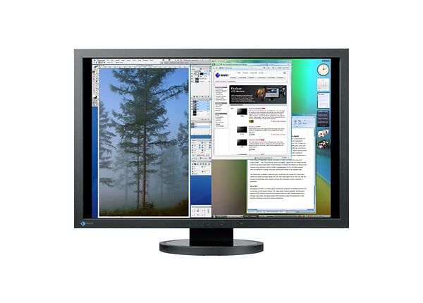 EIZO FlexScan SX3031W-BK 30" Wide LCD 
