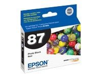 Epson T087120 Photo Black Ink