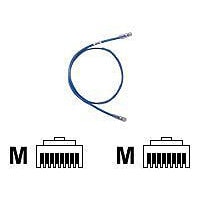 Panduit TX6 PLUS patch cable - 1 ft - blue