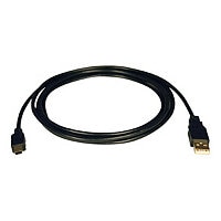 Eaton Tripp Lite Series USB 2.0 A to Mini-B Cable (A to 5Pin Mini-B M/M), 6 ft. (1.83 m) - USB cable - USB to mini-USB