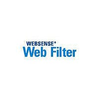 Forcepoint Web Filter - subscription license (10 months) - 300 additional s