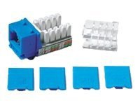 C2G Cat6 RJ45 UTP Keystone Jack - Blue - modular insert