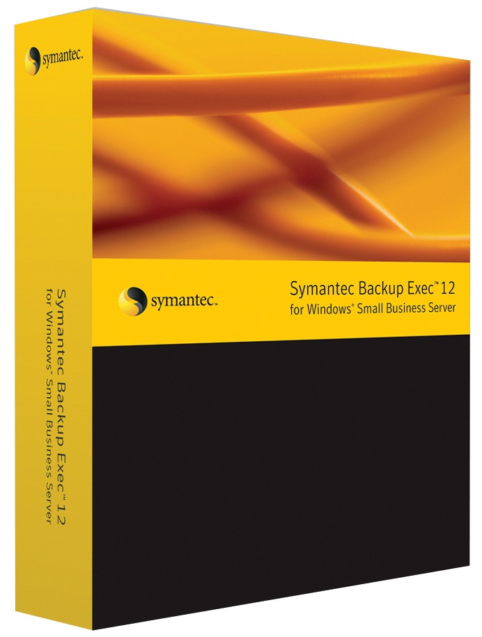 Symantec Backup Exec for Windows Small Business Server Standard Edition - ( v. 12 ) - license
