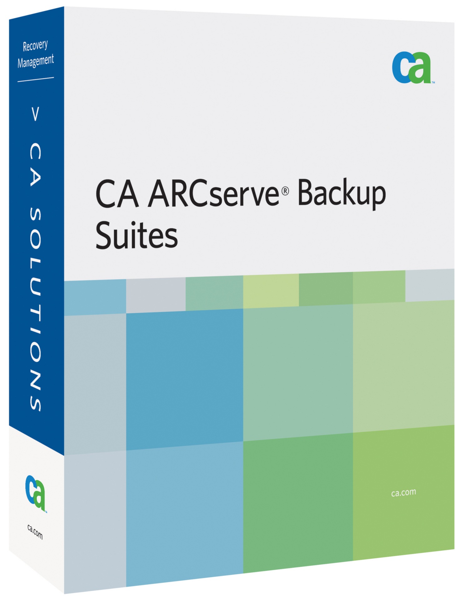 CA ARCserve Backup for Windows - ( v. 12 ) - license