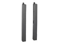 Sony SS SPG01 - left / right channel speakers