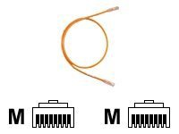 Panduit TX6 PLUS patch cable - 3 ft - orange