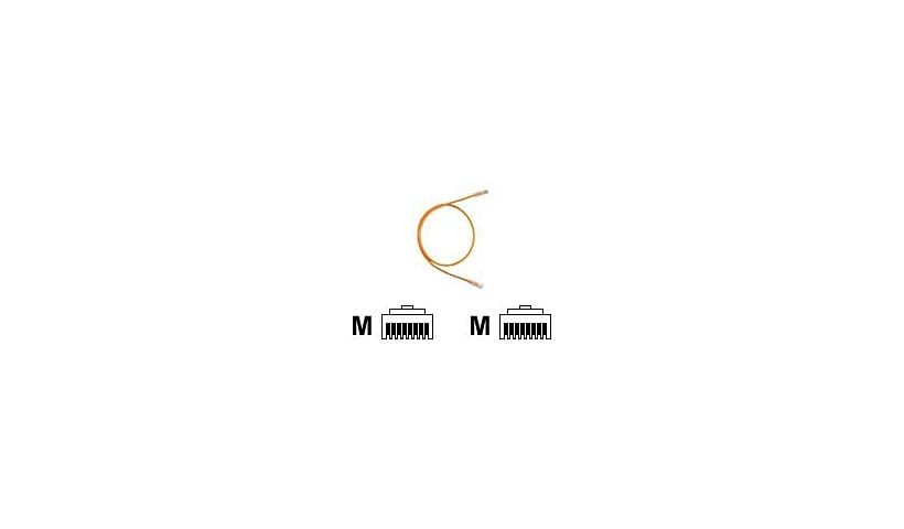 Panduit TX6 PLUS patch cable - 3 ft - orange