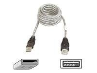 Belkin 10' PRO Series USB 2.0 Extension Cable