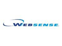Websense Security Filtering - subscription license renewal (1 year) - 900 s