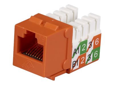Black Box GigaBase 2 CAT5e Jacks - modular insert