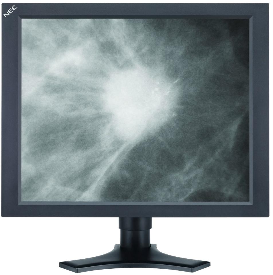 NEC MD205MG-DRV 20.1" LCD Display and Video Card