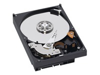 WD Caviar Blue WD6400AAKS - hard drive - 640 GB - SATA-300