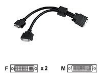 Matrox DVI cable - 1 ft