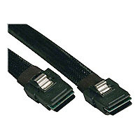 Tripp Lite 18 Inch Internal SAS Cable mini-SAS SFF-8087 mini-SAS SFF-8087