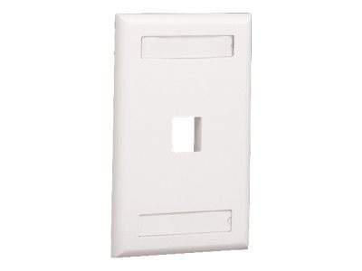 Panduit NetKey Flush Mount Screw-On Faceplates with Labeling - faceplate