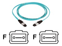 Panduit QuickNet MTP Interconnect Cable Assemblies - Multimode 10Gig 50/1 - network cable - 300 ft