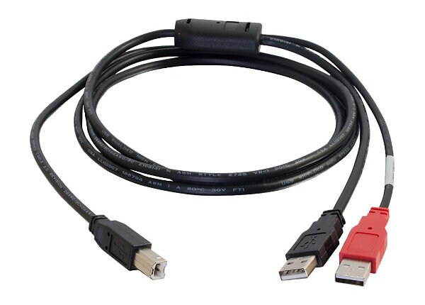 C2G USB 2.0 B MALE TO 2-A M Y CBL6FT