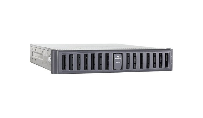 NetApp FAS2020 - network storage server - 6 TB