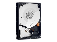 WD Caviar Black WD1001FALS - hard drive - 1 TB - SATA-300
