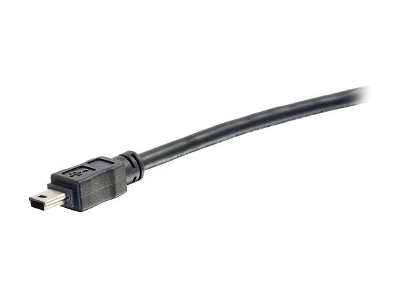 CTG USB 2.0 MINI-B MALE TO 2-A M 6FT
