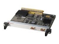 Cisco Channelized T3 (DS0) Shared Port Adapter - expansion module - 2 ports
