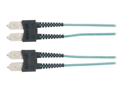 Black Box 10-Gigabit patch cable - 2 m