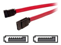 Cables Unlimited Serial ATA / SAS cable - 1.5 ft
