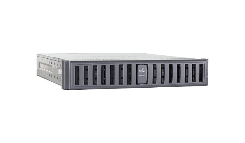 NetApp FAS2020 - network storage server - 3 TB