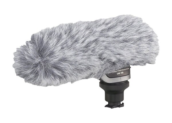 Canon DM-100 - microphone