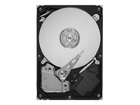 Seagate SV35.3 Series ST3750330SV - hard drive - 750 GB - SATA-300