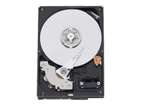 WD RE3 WD5002ABYS - hard drive - 500 GB - SATA-300