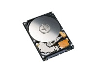 FUJITSU MHZ2320BJ - hard drive - 320 GB - SATA-300