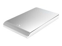 Seagate FreeAgent Go - hard drive - 250 GB - Hi-Speed USB - Silver
