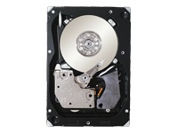 Seagate Cheetah 15K.6 - hard drive - 300 GB - SAS