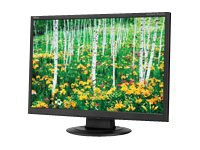 NEC TouchSystems P Series P20 - LCD monitor - 20"